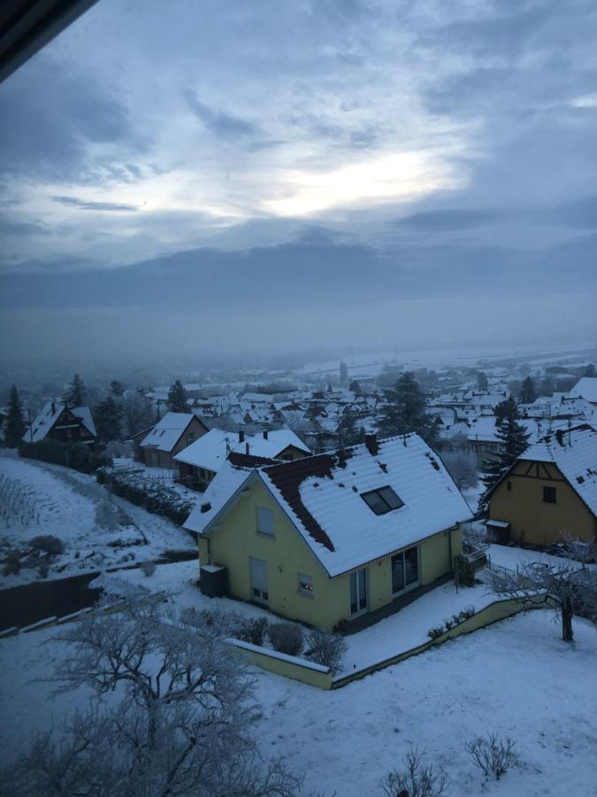 A L'Oree Des Vignes, Superbe Logement De 80 M2 Wangen Exterior foto